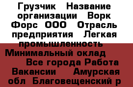 Грузчик › Название организации ­ Ворк Форс, ООО › Отрасль предприятия ­ Легкая промышленность › Минимальный оклад ­ 24 000 - Все города Работа » Вакансии   . Амурская обл.,Благовещенский р-н